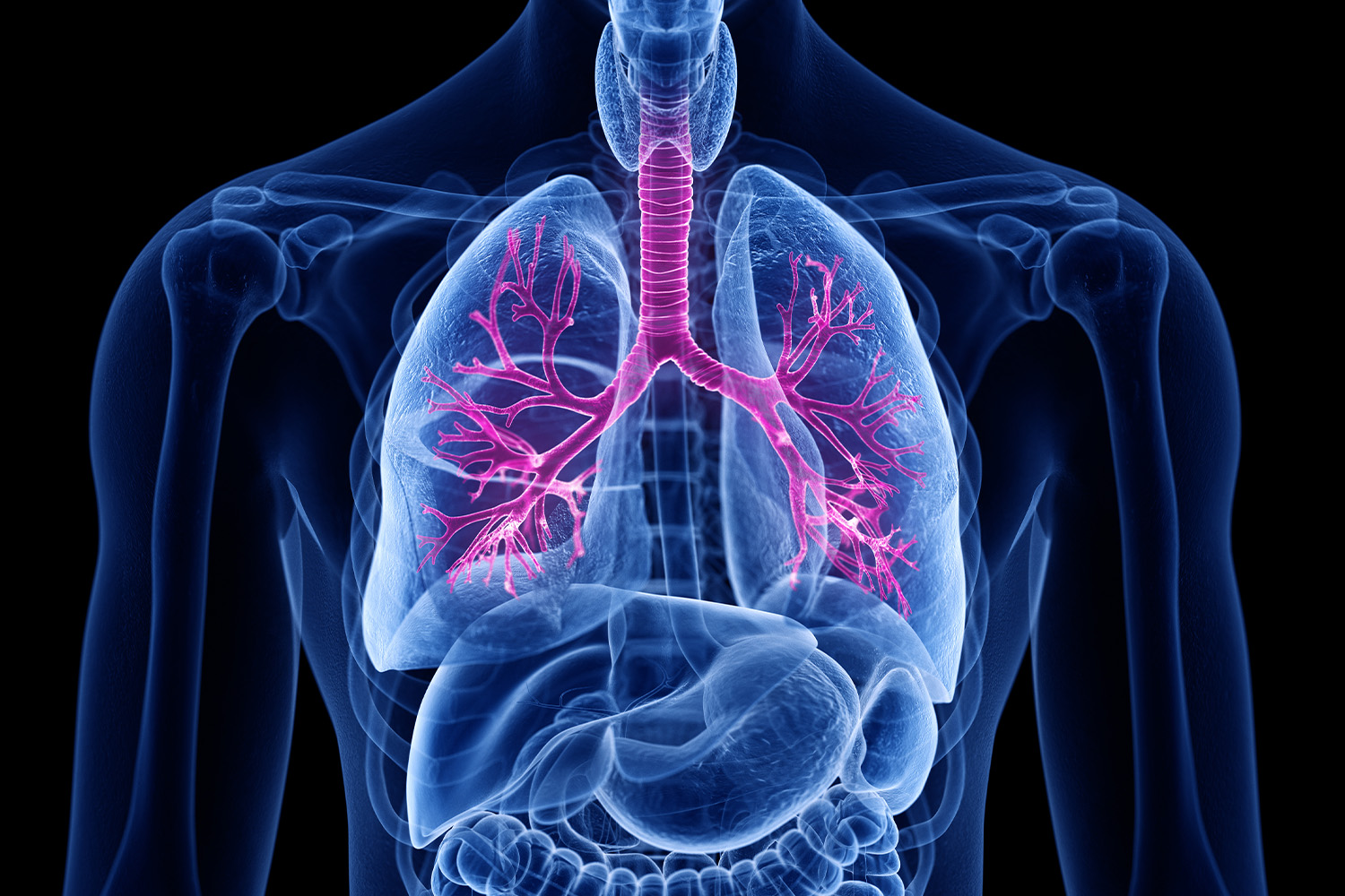 Strength for Your Lungs