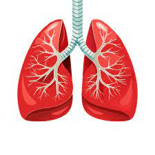 Nurturing Your Lung Resilience
