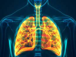 Nurturing Your Lung Resilience