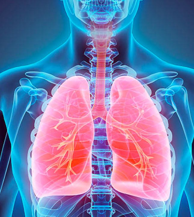 Nurturing Your Lung Resilience