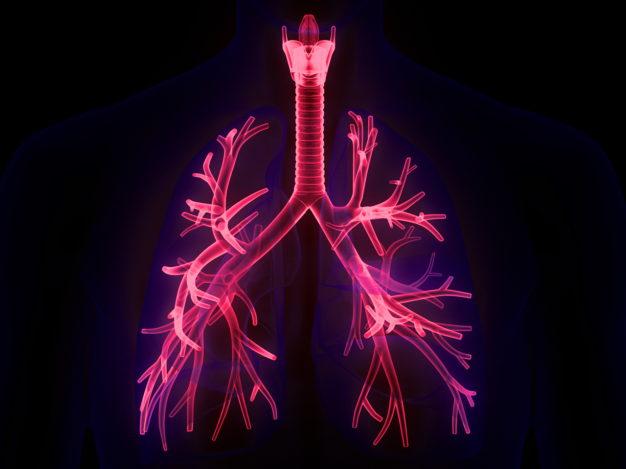 Next-generation breath support